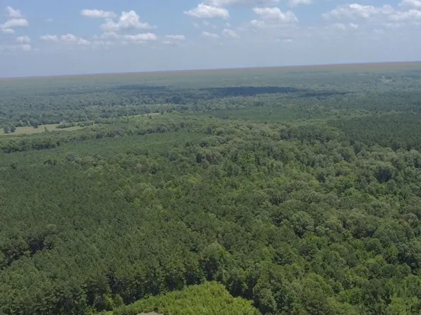 0 County Road 311, De Berry, TX 75639