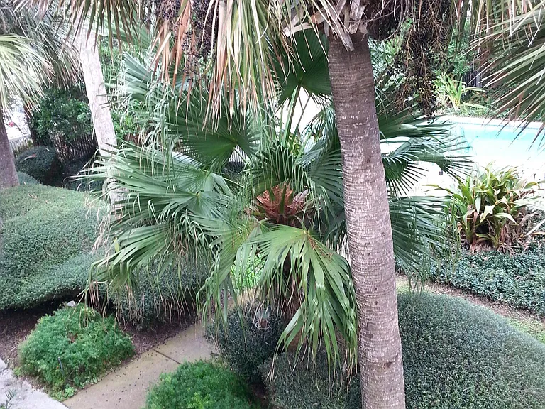 2ND FLOOR COURTYARD VIEW