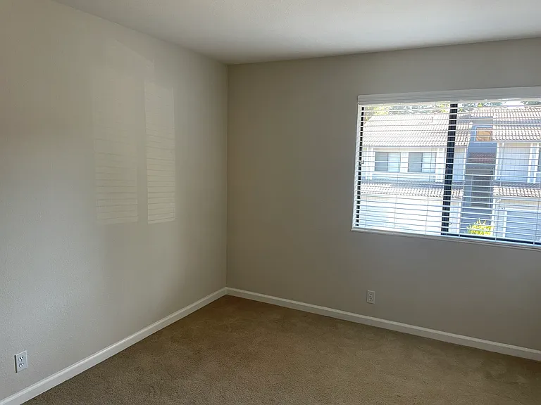 231 Via Pinada Ln — Photo 8