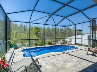 18958 Hampstead Heath Ct, Land O Lakes, FL 34638