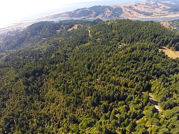 3rd image of Grizzly Mountain Road