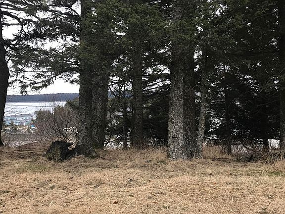 3rd image of 1721 E Rezanof Dr