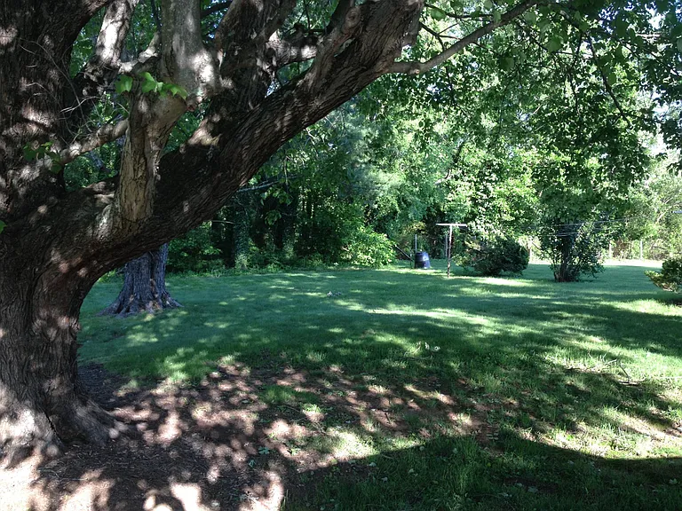 Large back yard with green space.