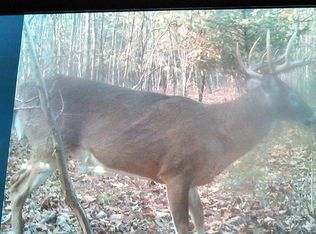 1028 Crows Ridge Rd, Berry, KY 41003