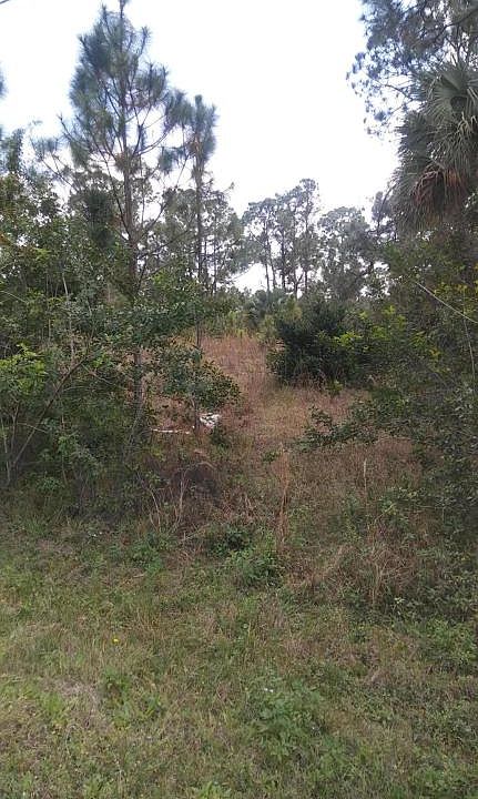 1st image of 15700 Tangelo Blvd