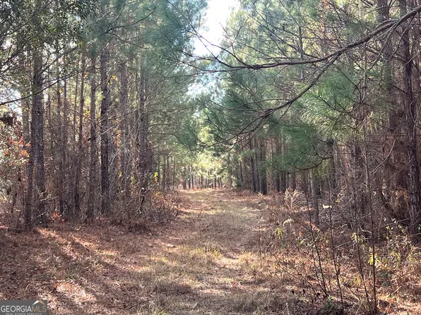 0 Thomas Rd, Millen, GA 30442