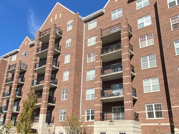 390 W Mahogany Ct Unit 203, Palatine, IL 60067