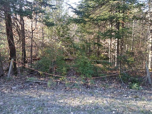 4th image of Lot#47-3 Grafton Pond Road