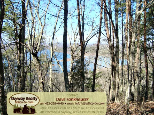 Citico Rd, Vonore, TN 37885