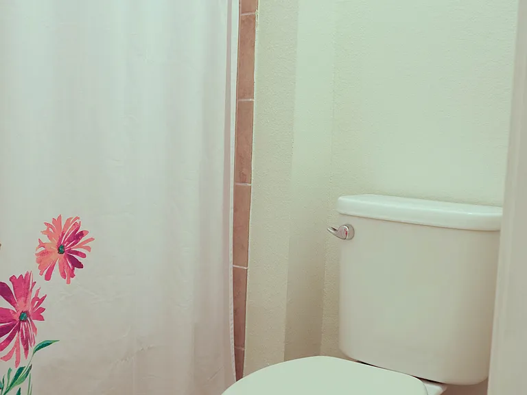 4582 Terrasonesta Dr — Photo 53