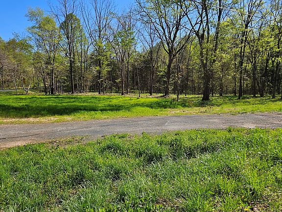 5th image of Physic Spring Rd
