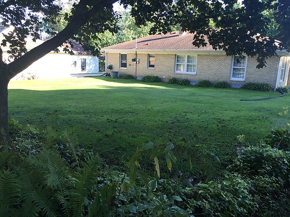 Large, shaded backyard