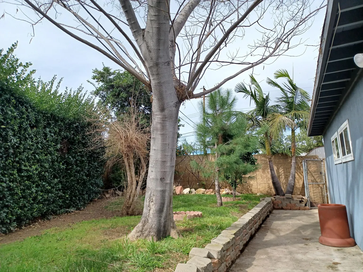 4 bed, 1948 sqft, $4,495 — Photo 4
