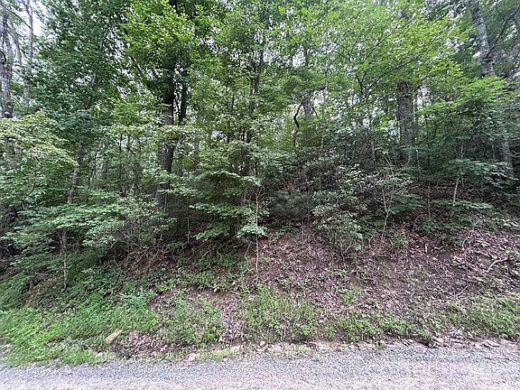 5th image of 0 Pine Ridge Rd #21