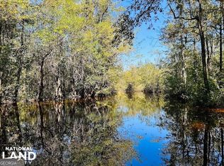 0 Bickley Rd, Butler, GA 31006