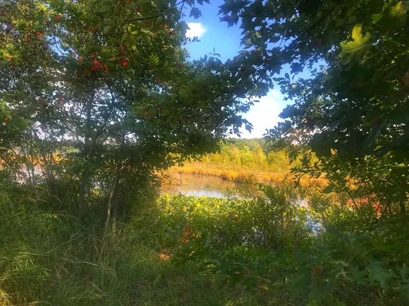 11403 County Road 215, Grand Junction, MI 49056