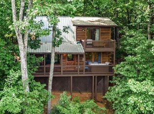 41 Beaver Ct #261, Blue Ridge, GA 30513