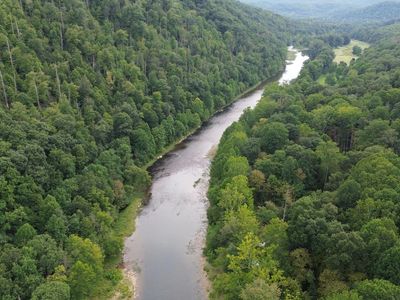400 Barefoot Woods Ln, Buckeye, WV, 24924