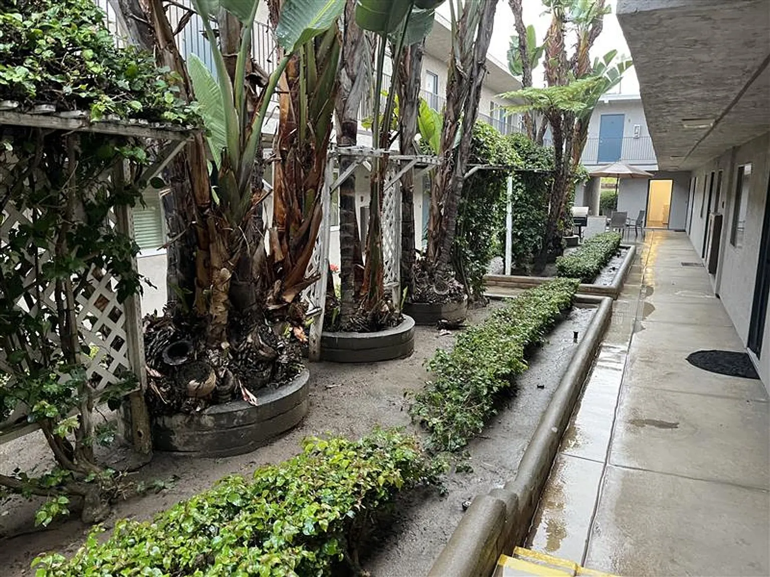 Iris Arms Apartments — Photo 3