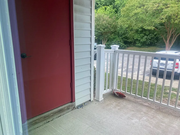 1321 Destination Ln — Photo 11