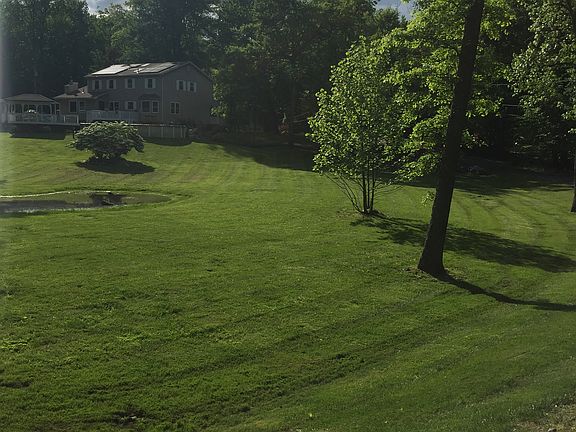 Sweeping Back Yard