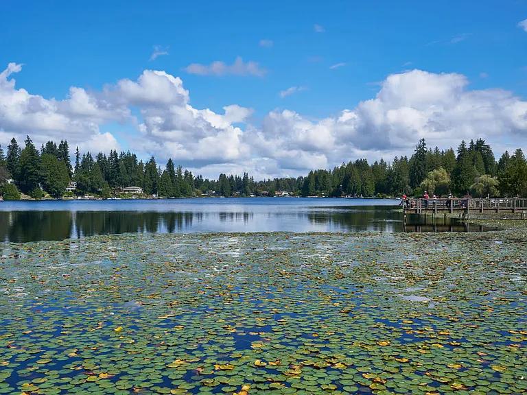 Martha Lake Park is home to abundant wildlife
