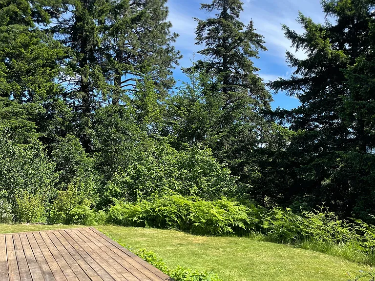 1170 Panorama Point Rd — Photo 6