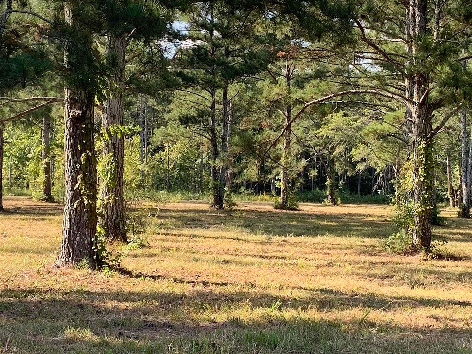 661 Maple Rd, New Hope, AL 35760 Zillow