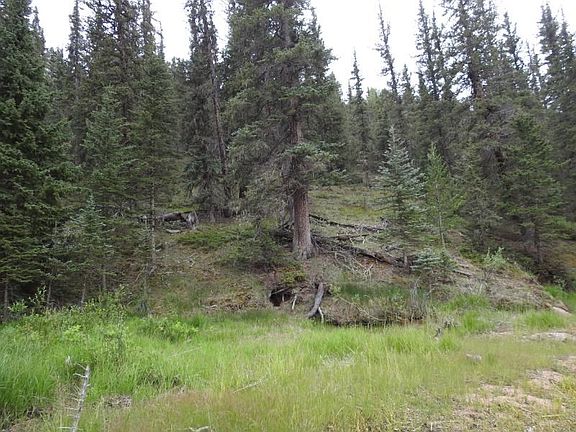 5th image of 36 Arapahoe Creek Dr