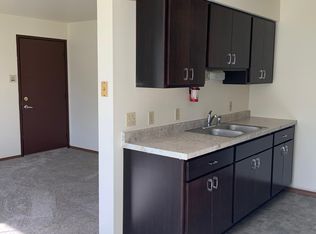 130 S 1st St APT 1W, Wilmington, IL