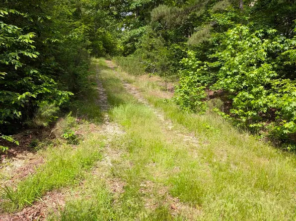 (undisclosed Address), Hot Springs Village, AR 71909