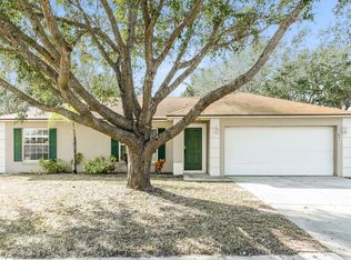 617 Willow Run St, Minneola, FL 34715