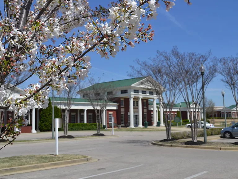 Carrington at Schilling Farms — Photo 32