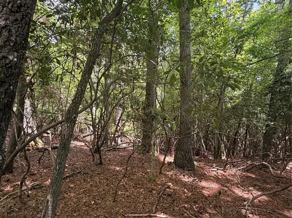 Dvga Ct, Brevard, NC 28712