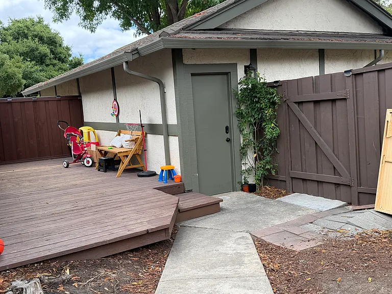 34344 Gadwall Cmn — Photo 23