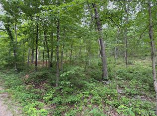 LOT 84 Mallard Rd, Middle Brook, MO 63656