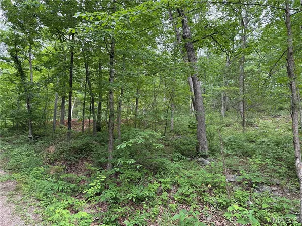 LOT 84 Mallard Rd, Middle Brook, MO 63656