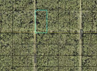 Tippin St, Bunnell, FL 32110