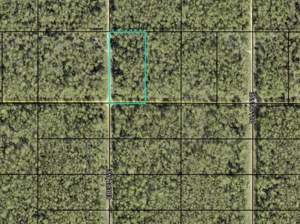 Tippin St, Bunnell, FL 32110