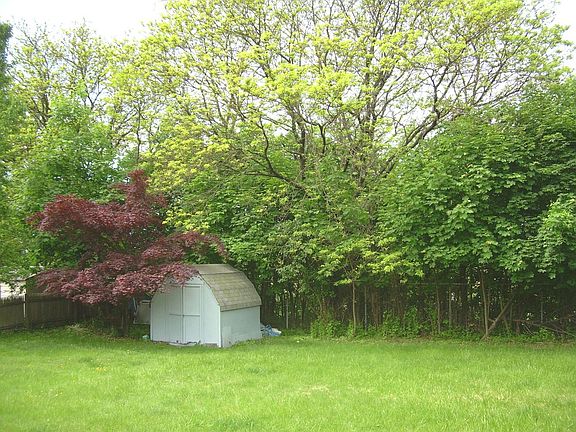 Backyard 1