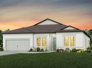 14147 Samoa Hill Ct, Riverview, FL 33569
