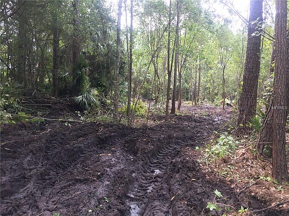 5th image of 702 Palm Way