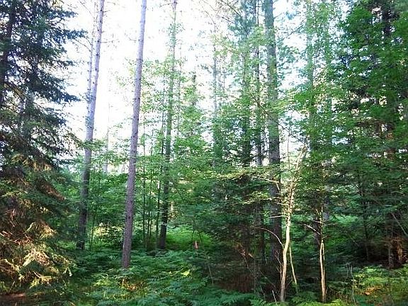 2nd image of Curtis Lake Dr Lot 1
