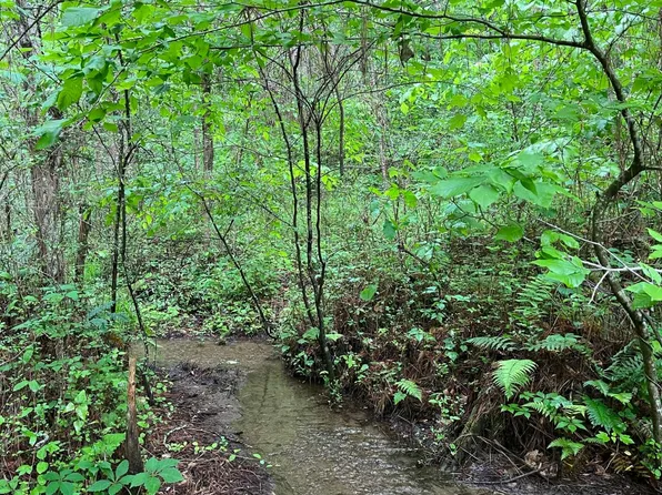 270 Possum Holler Rd, Ellijay, GA 30536