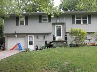 311 Shearer Ave, Lawson, MO 64062