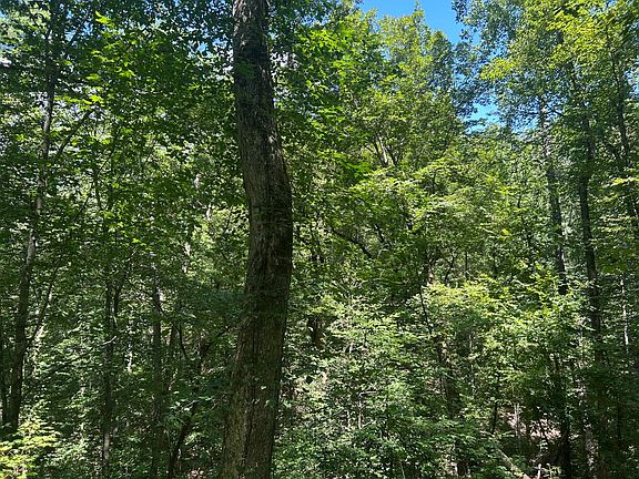 44th image of this home