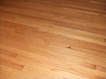 refinished hard wood floors