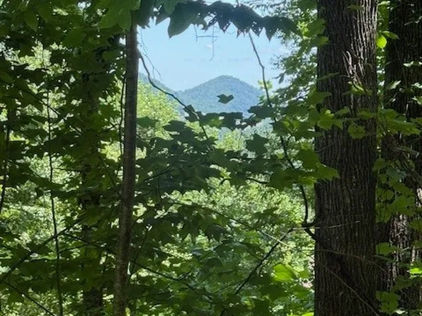 TBD Lot 30 High Meadows Court, Fleetwood, NC 28626