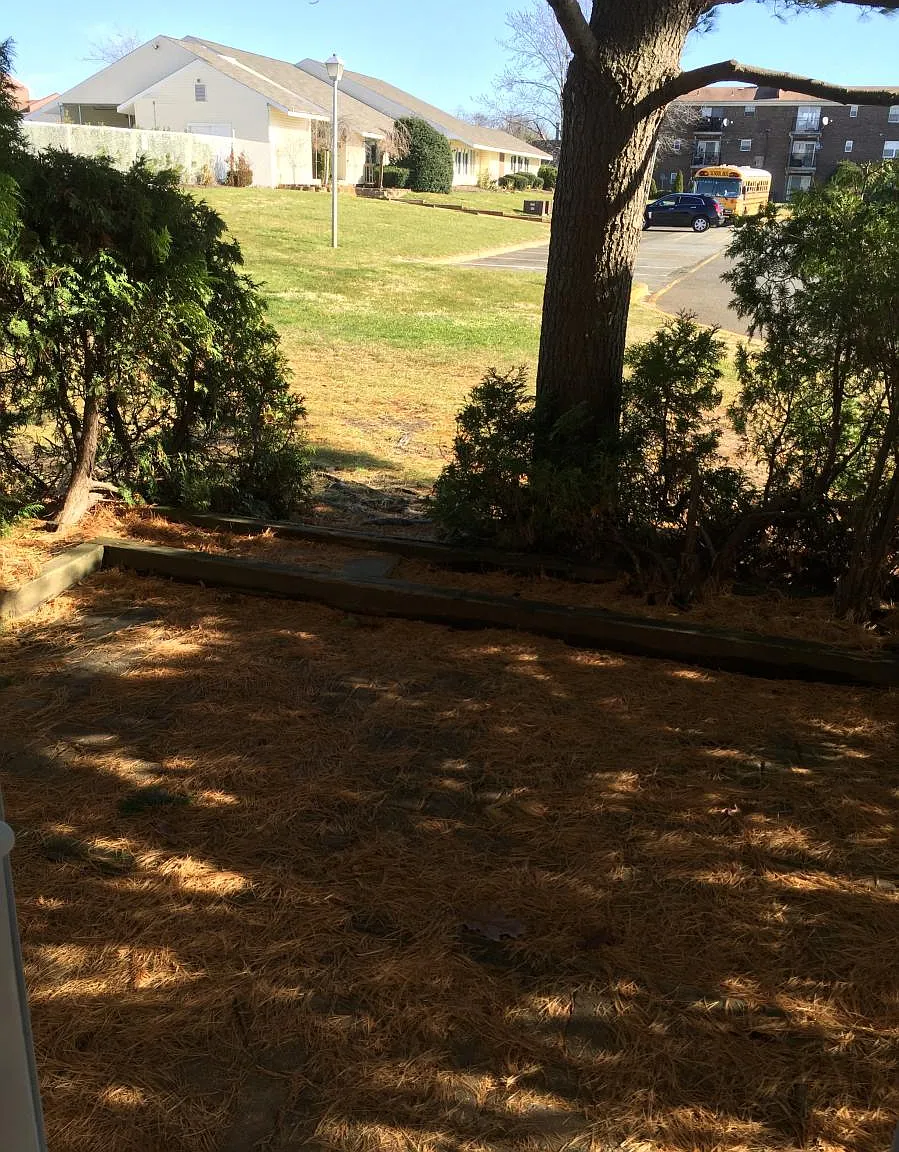 203 Sawmill Road — Photo 2