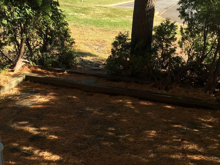 203 Sawmill Rd — Photo 2